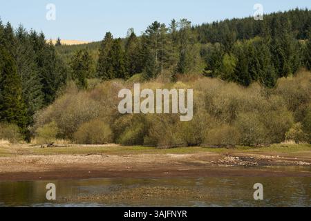 Llwyn Onn Reservation, Merthyr Tydfil, Galles del Sud, Regno Unito. 11 aprile 2025. Meteo nel Regno Unito: Pomeriggio caldo con livelli dell'acqua leggermente inferiori. Crediti: Andrew Bartlett/Alamy Live News Foto Stock