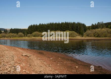 Llwyn Onn Reservation, Merthyr Tydfil, Galles del Sud, Regno Unito. 11 aprile 2025. Meteo nel Regno Unito: Pomeriggio caldo con livelli dell'acqua leggermente inferiori. Crediti: Andrew Bartlett/Alamy Live News Foto Stock