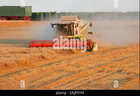 Impressionen: Maehdraescher, Gereideernte (nur fuer redaktionelle Verwendung. Keine Werbung. Referenzdatenbank: http://www.360-berlin.de. © Jens Knapp Foto Stock