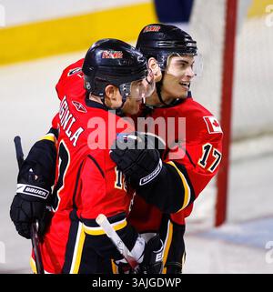 21 febbraio 2009 - Calgary, Alberta, Canada - foto del profilo del giocatore NHL su Rene Bourque dei Calgary Flames (a destra) mentre celebra un gol con Jarome Iginla (a sinistra) durante una recente partita di hockey a Calgary. (Immagine di credito: © Larry MacDougal via ZUMA Wire) Foto Stock