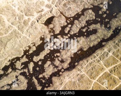 Vista aerea dal drone delle dune di sabbia nella riserva naturale nazionale di Tentsmuir, nel nord-est di Fife, Scozia, Regno Unito Foto Stock
