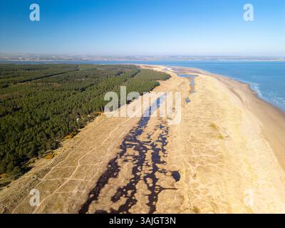 Vista aerea dal drone della riserva naturale nazionale di Tentsmuir nel nord-est di Fife, Scozia, Regno Unito Foto Stock
