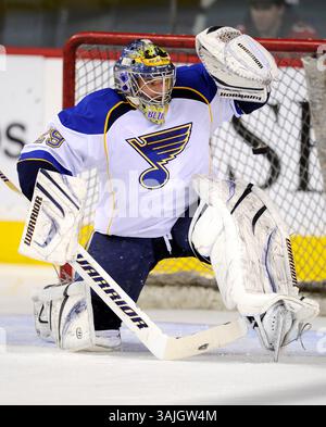 31 gennaio 2011 - Calgary, Alberta, Canada - Gen. Foto del profilo del giocatore NHL sul portiere dei St. Louis Blues Ty Conklin durante una partita recente a Calgary. (Immagine di credito: © Larry MacDougal via ZUMA Wire) Foto Stock