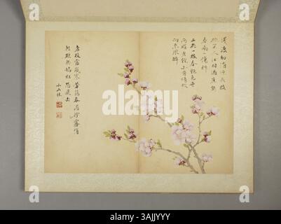 Zou Yigui, un artista cinese della tarda dinastia Qing, era rinomato per la sua abilità nel rappresentare soggetti tradizionali, tra cui paesaggi e disegni floreali. Questa opera, datata dal 1686 al 1772, è esposta al Museo del Palazzo e dimostra la sua abilità nell'utilizzare tecniche a pennello e creare dettagli realistici, catturando l'essenza dell'arte classica cinese. Foto Stock