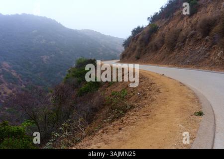 La strada tortuosa attraversa le colline ricoperte di nebbia al Runyon Canyon Park, mostrando la bellezza naturale e il terreno accidentato della zona con un'atmosfera serena Foto Stock