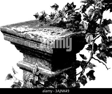 Colonna in pietra d'epoca con edera arrampicata in bianco e nero. Illustrazione Vettoriale