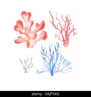 serie di illustrazioni ad acquerello dei coralli Foto Stock