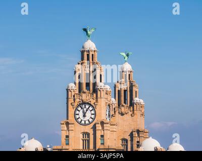 Veduta aerea del Royal Liver Building a Liverpool, Inghilterra Foto Stock