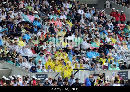 10 luglio 2010 - Calgary, Alberta, Canada - spettatori sotto la pioggia durante il rodeo Calgary Stampede a Calgary. (Immagine di credito: © Larry MacDougal via ZUMA Wire) Foto Stock