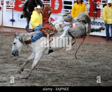 12 luglio 2010 - Calgary, Alberta, Canada - Bareback Bronc Riding evento durante il rodeo Calgary Stampede a Calgary. (Immagine di credito: © Larry MacDougal via ZUMA Wire) Foto Stock