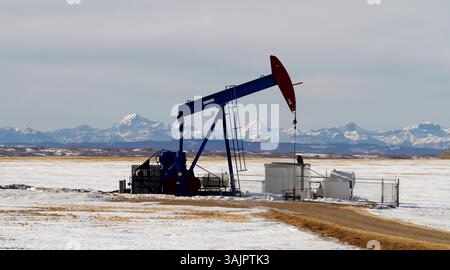 20 gennaio 2010 - Calgary, Alberta, Canada - una pompa petrolifera, di proprietà della Bonavista Petroleum, al lavoro pompando petrolio greggio vicino ad Airdrie. (Immagine di credito: © Larry MacDougal via ZUMA Wire) Foto Stock