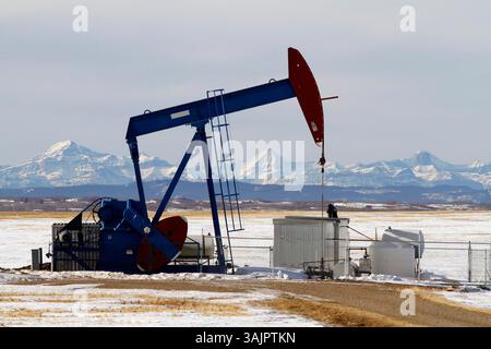 20 gennaio 2010 - Calgary, Alberta, Canada - una pompa petrolifera, di proprietà della Bonavista Petroleum, al lavoro pompando petrolio greggio vicino ad Airdrie. (Immagine di credito: © Larry MacDougal via ZUMA Wire) Foto Stock
