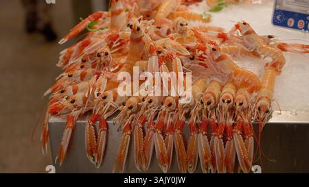 Scampi freschi su ghiaccio, pronti per essere venduti al mercato del pesce Foto Stock