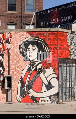 17 febbraio 2009 - Quincy, Massachusetts, Stati Uniti - opere d'arte di Shepard Fairey incollate su un muro nel quartiere di Fort Point a South Boston. Fairey, che ha iniziato come artista di strada con un background nello skateboard, ha visto la sua fama e notorietà accelorare di recente con il suo famoso design "Obama Hope", utilizzato come poster nella campagna elettorale di Barack Obama. Lo stesso design ha abbellito la copertina di Time Magazine e da allora è stato acquistato dalla National Portrait Gallery degli Stati Uniti per la loro collezione permanente. Fairey, laureato alla Rhode Island School of Design di Providence, ha guadagnato notorietà in Foto Stock