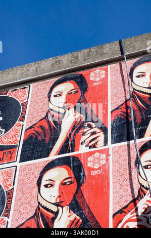 17 febbraio 2009 - Quincy, Massachusetts, Stati Uniti - opere d'arte di Shepard Fairey incollate su un muro nel quartiere di Fort Point a South Boston. Fairey, che ha iniziato come artista di strada con un background nello skateboard, ha visto la sua fama e notorietà accelorare di recente con il suo famoso design "Obama Hope", utilizzato come poster nella campagna elettorale di Barack Obama. Lo stesso design ha abbellito la copertina di Time Magazine e da allora è stato acquistato dalla National Portrait Gallery degli Stati Uniti per la loro collezione permanente. Fairey, laureato alla Rhode Island School of Design di Providence, ha guadagnato notorietà in Foto Stock