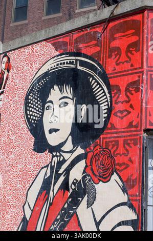 17 febbraio 2009 - Quincy, Massachusetts, Stati Uniti - opere d'arte di Shepard Fairey incollate su un muro nel quartiere di Fort Point a South Boston. Fairey, che ha iniziato come artista di strada con un background nello skateboard, ha visto la sua fama e notorietà accelorare di recente con il suo famoso design "Obama Hope", utilizzato come poster nella campagna elettorale di Barack Obama. Lo stesso design ha abbellito la copertina di Time Magazine e da allora è stato acquistato dalla National Portrait Gallery degli Stati Uniti per la loro collezione permanente. Fairey, laureato alla Rhode Island School of Design di Providence, ha guadagnato notorietà in Foto Stock