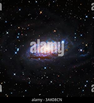 Sunflower Galaxy (M63). Immagine ottica della Galassia dei girasole (Messier 63). Questa galassia a spirale si trova a circa 37 milioni di anni luce dalla Terra, nella costellazione dei cani venatici, ed è una delle numerose galassie all'interno del gruppo M51, un gruppo di galassie che prende il nome da quella più luminosa (M51A). Entrambi sono luoghi in cui nascono nuove stelle. Immagini scattate presso l'Osservatorio Nighthawk, New Mexico, USA. Foto Stock