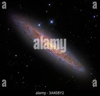Scultore Galaxy (NGC 253). Immagini combinate dal Subaru Telescope e dal Hubble Space Telescope della Sculptor Galaxy. Questa galassia a spirale misura circa 70-80.000 anni luce e si trova a 11 milioni di anni luce dalla Terra, nella costellazione di Scultore. È tra le galassie più vicine al gruppo locale che contiene la nostra galassia. NGC 253 è una galassia stellata con una formazione stellare molto vigorosa e bracci a spirale molto polverosi. Foto Stock