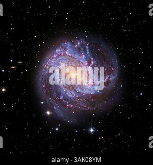 Southern Pinwheel Galaxy (M83). Immagini combinate dal Subaru Telescope e dal Hubble Space Telescope della Southern Pinwheel Galaxy (M83, NGC 5236). Questa galassia a spirale si trova a 14,7 milioni di anni luce dalla Terra, nella costellazione di Hydra. Foto Stock