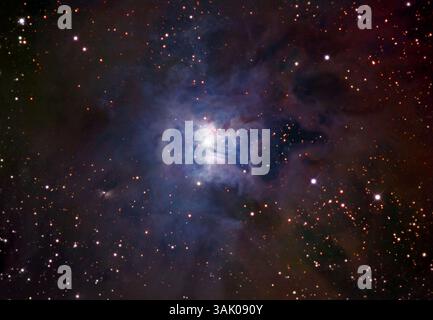 Nebulosa iride (NGC 7023), immagine ottica. Questa nebulosa, situata a 1300 anni luce di distanza nella costellazione di Cefeo, è così chiamata per la sua somiglianza con un fiore. È una nebulosa riflettente, o una nuvola di particelle di polvere fine che disperde la luce dalla gigantesca stella giovane e calda centrale. Appare blu perché la luce blu a lunghezza d'onda breve è diffusa più del rosso. Foto Stock
