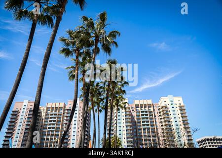 Long Beach, California, Stati Uniti. 11 aprile 2025. Le strade di Long Beach ospitano il Gran Premio di Acura di Long Beach a Long Beach, CA. (Credito immagine: © Walter G. Arce Sr./ASP via ZUMA Press Wire) SOLO PER USO EDITORIALE! Non per USO commerciale! Foto Stock