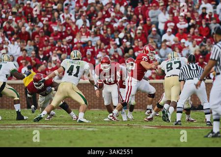 10 ottobre 2009: Prima il quarto indietro Sam Bradford #14 guarda verso il basso un pallone fumble. Gli Oklahoma Sooners sconfissero i Baylor Bears 33-7, a Norman, OK. Richey Miller/CSM (immagine di credito: © Richey Miller/Cal Sport Media/ZUMA Press) Foto Stock