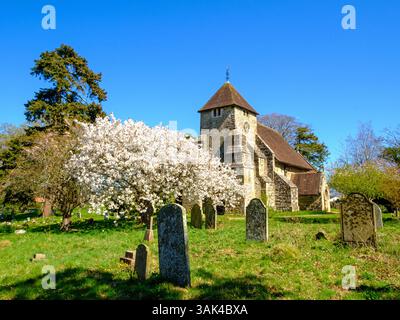 La primavera sboccia nella chiesa di San Giovanni Battista in tempo per Pasqua, East Sussex, Regno Unito Foto Stock