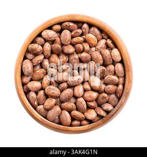 Pinzare i fagioli in un recipiente di legno. Varietà secca di fagioli comuni, Phaseolus vulgaris. Un tipo di fagioli che sono abbronzati con macchie rossastre. Foto Stock