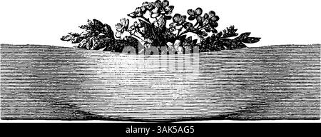 Illustrazione vintage incisa di una ragazza di fiori con cesto per design botanico. Illustrazione Vettoriale