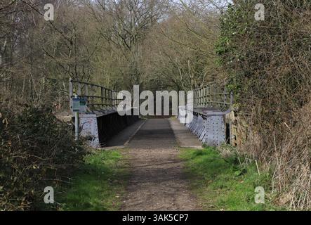 Il Marriott's Way è un percorso a lunga distanza con un vecchio ponte ferroviario che attraversa il fiume Wensum a Lenwade, Norfolk, Inghilterra, Regno Unito. Foto Stock