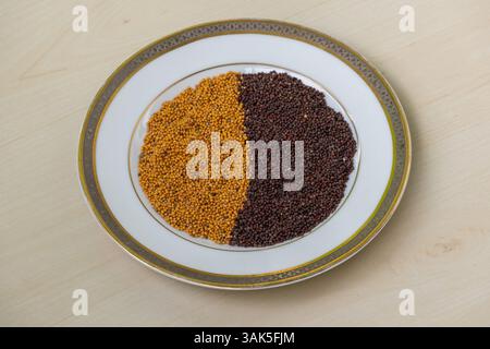 Senape nera e semi di senape gialla su un piatto bianco su una superficie di legno chiaro. Foto Stock