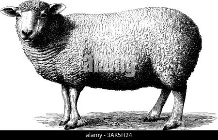 Pannello solare inciso con fogliame circostante per temi energetici e naturalistici. Illustrazione Vettoriale