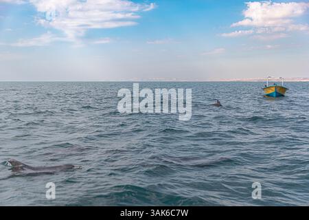 Qeshm e Hengam l'isola sul Golfo Persico Foto Stock