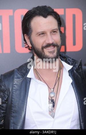 10 maggio 2017 - Westwood, CA, Stati Uniti - 10 maggio 2017 - Westwood, California - Stefan Kapicic. Prima mondiale di ''Snatched'' si tiene al Regency Village Theater di Westwood. Foto: Birdie Thompson/AdMedia (immagine di credito: © Birdie Thompson/AdMedia) Foto Stock