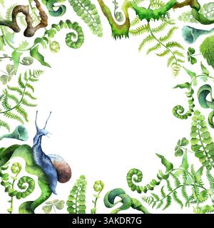 Cornice delle piante forestali. Vegetazione botanica con lumache, con sfumature verdi e blu. Acquerelli disegnati a mano isolati su sfondo trasparente. Biopfilo Foto Stock