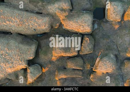 Rilievo carsico unico di Kostivere, Estonia: Pavimentazione in pietra calcarea con calda luce serale, sfondo naturale. Foto Stock