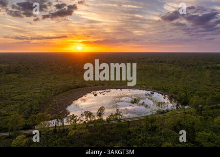 La natura del lago della foresta della Florida al tramonto. Palude con paludi di giglio vegetazione che galleggia sull'acqua Foto Stock