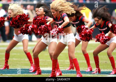 1 dicembre 2013 - Houston, Texas, Stati Uniti d'America - DEC 01 2013: Gli Houston Texans Cheerleaders si esibiscono prima della partita di stagione regolare tra gli Houston Texans e i New England Patriots dal Reliant Stadium di Houston, Texas. (Immagine di credito: © Erik Williams/Cal Sport Media/ZUMAPRESS.com) Foto Stock