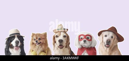 Set di simpatici cani che indossano cappelli e costume da supereroe su sfondo chiaro Foto Stock