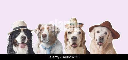 Set di simpatici cani che indossano cappelli e cravatta su sfondo chiaro Foto Stock