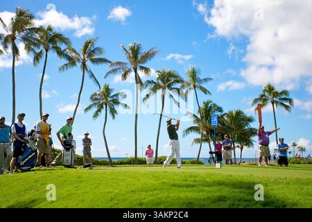 10 gennaio 2014 - Honolulu, HI, USA - 10 gennaio 2014 - Stewart Cink parte il 14 gennaio durante il secondo round del Sony Open al Waialae Country Club di Honolulu, HI. (Immagine di credito: © Glenn Yoza/Cal Sport Media/ZUMAPRESS.com) Foto Stock