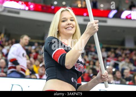 5 gennaio 2014 - Raleigh, North Carolina, U. S - membro della Carolina Hurricanes Storm Squad durante la partita NHL tra i Nashville Predators e i Carolina Hurricanes alla PNC Arena. I Carolina Hurricanes sconfissero i Nashville Predators 2-1. (Immagine di credito: © Andy Martin Jr./ZUMAPRESS.com) Foto Stock