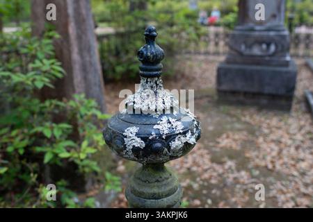Bonaventure Cemetery, Savannah, Georgia, apparso in Midnight in the Garden of Good and Evil e considerato uno dei cimiteri più belli del mondo. Foto Stock