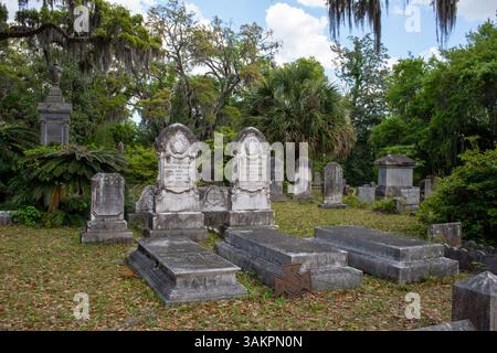 Bonaventure Cemetery, Savannah, Georgia, apparso in Midnight in the Garden of Good and Evil e considerato uno dei cimiteri più belli del mondo. Foto Stock