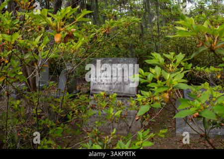 Bonaventure Cemetery, Savannah, Georgia, apparso in Midnight in the Garden of Good and Evil e considerato uno dei cimiteri più belli del mondo. Foto Stock