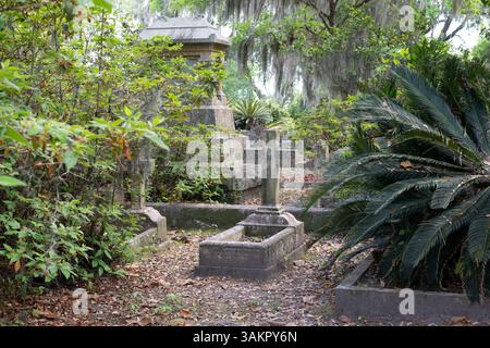 Bonaventure Cemetery, Savannah, Georgia, apparso in Midnight in the Garden of Good and Evil e considerato uno dei cimiteri più belli del mondo. Foto Stock