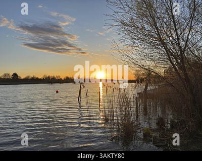 Tramonto impressionante su un lago con canne in primo piano, Gartow, Wendland, bassa Sassonia, Germania, Europa Foto Stock