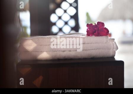 Close-up shot di pelo di tre bianchi asciugamani freschi con fiore rosa sulla parte superiore. Servizio in beauty spa Foto Stock