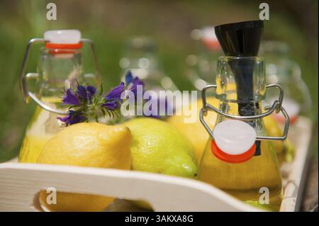 Rendendo Fruit Lemonade con limone in bottigliette Foto Stock