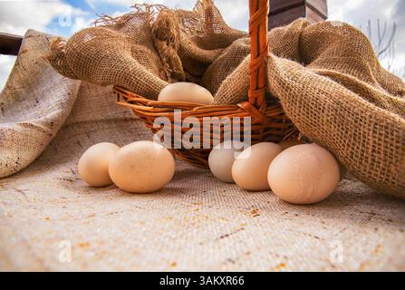 Uova di pollo fresche in un cestino di vimini su tessuto Burlap, stile rustico fattoria Foto Stock